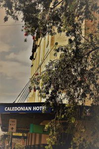 Caledonian Hotel