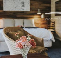 Peppermint Lane Lodge - Swimm