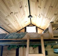 Big Tiny Dale View Tiny House - Renee