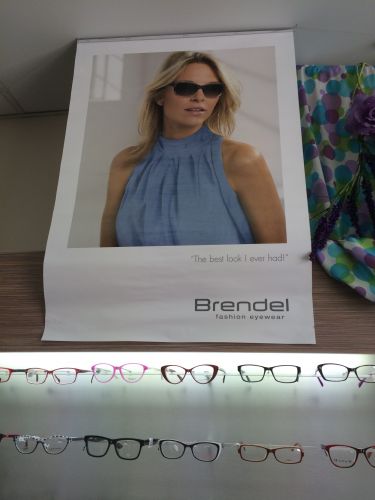 Partners In Vision With Dirk And Aurora - Renee 1