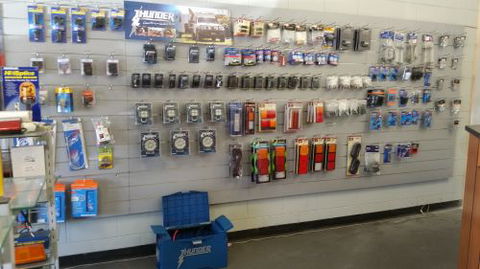 Pialba Auto Electrics - Renee 2