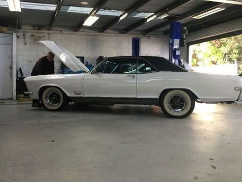 Woy Woy Auto Electrics - Renee 4