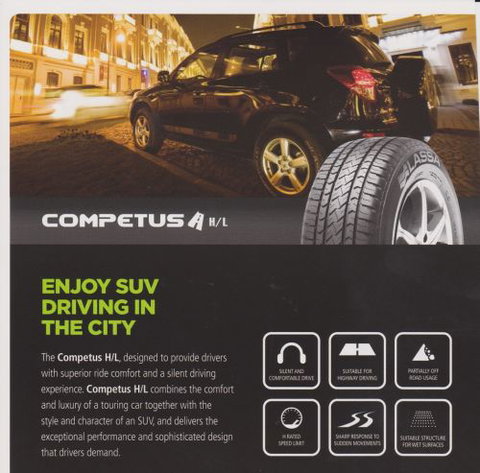 Chapman’s Auto Repairs - Internet Find 3