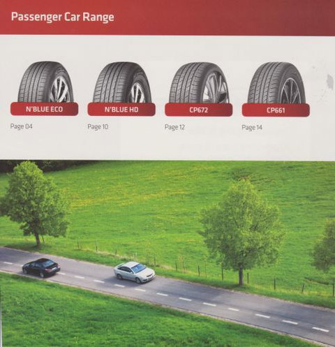 Chapman’s Auto Repairs - Internet Find 4