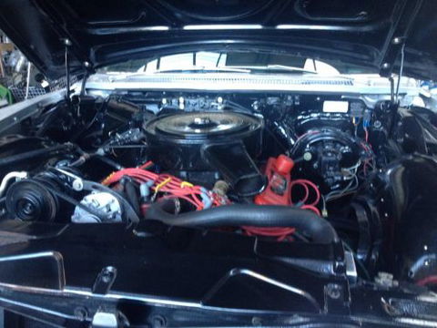 Leisure Coast Auto Electrics And Mechanical - Renee 3