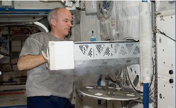 Cold Zap Refrigeration & Electrical Services - Renee 1