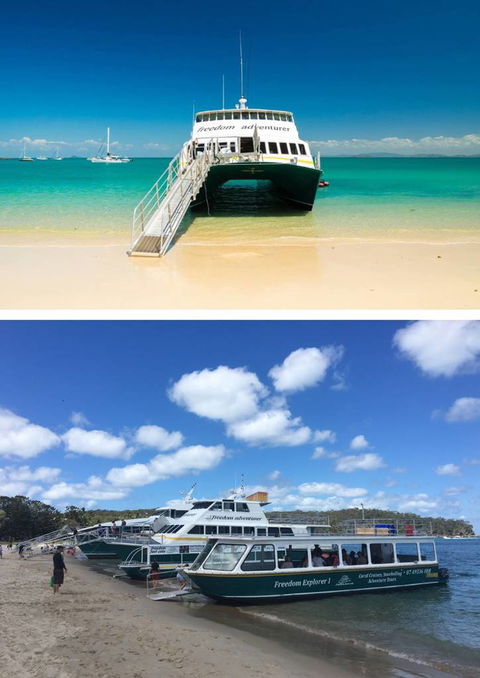 Max Allen Cruises - Internet Find 0