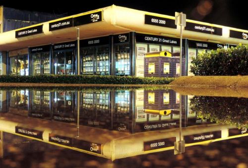 Real Estate Development Renee