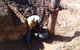 Gas Field Services - thumb 2