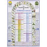 Greg Turner - Swimm 0