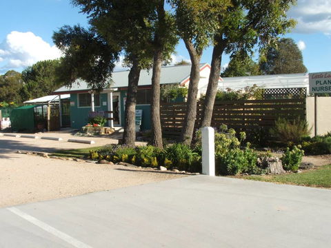 Little Ladybird Plant Nursery - Renee 0
