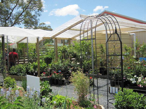 Little Ladybird Plant Nursery - Renee 1