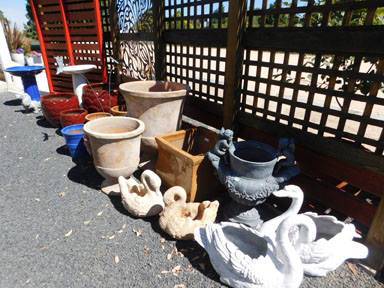 Little Ladybird Plant Nursery - Renee 3