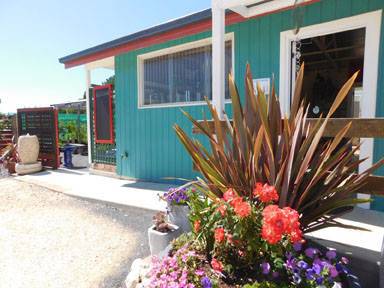 Little Ladybird Plant Nursery - Renee 4