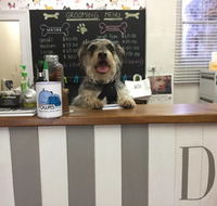 Doggie Barber - Renee