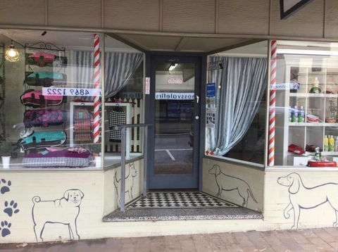 Doggie Barber - Renee 1