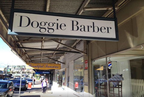 Doggie Barber - Renee 4