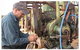 Country Diesel Maintenance Pty Ltd - thumb 2