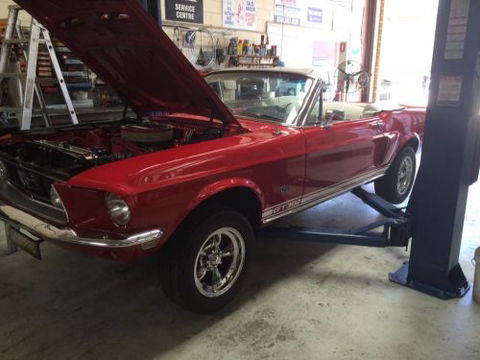 Hervey Bay Brake & Exhaust - Swimm 4