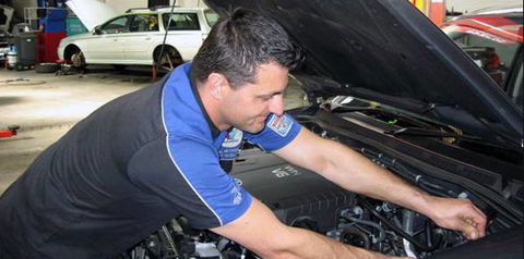 Wollongong Auto Excellence - Renee 7