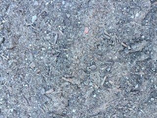 Blue Water Landscape Supplies - Renee 2