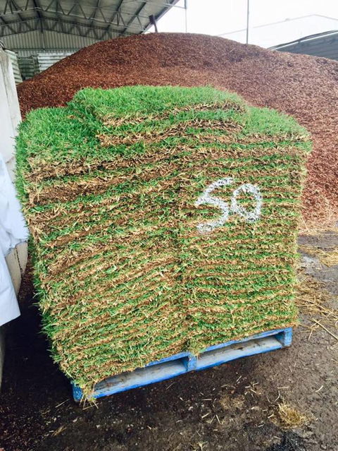 Richmond Sand, Gravel & Landscaping - Swimm 6