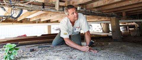 TKO Pest Management - Renee 2