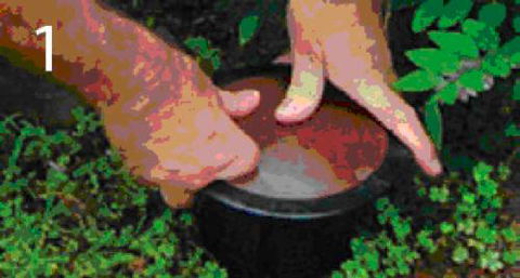 Adept Integrated Pest Solutions - Renee 1