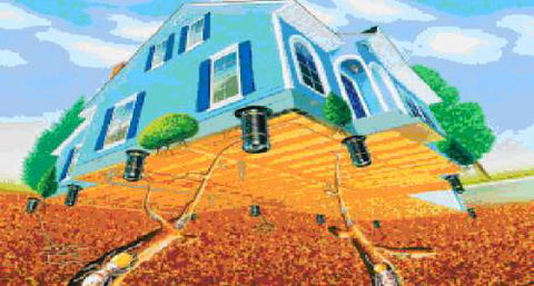 Adept Integrated Pest Solutions - Renee 2