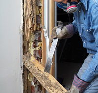 Coalfields Pest Control - Internet Find