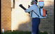 Gold City Pest Services - Gympie - thumb 4