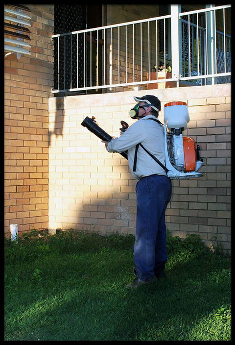 Gold City Pest Services - Gympie - Renee 4