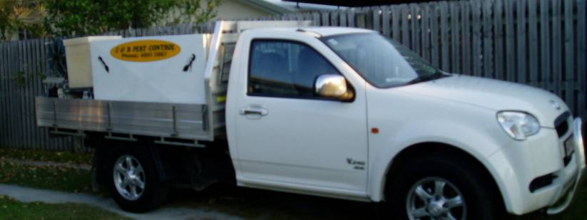 Pest Control Andergrove QLD Renee