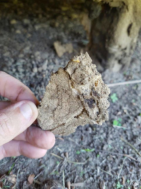 J & B Pest Control - Internet Find 1