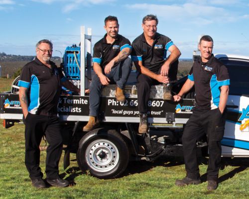 Pest Control Ballina NSW Swimm