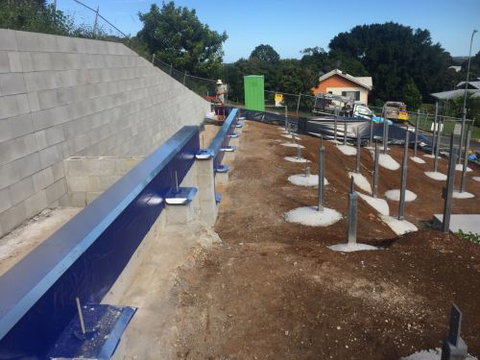 Active Pest Management - Swimm 3