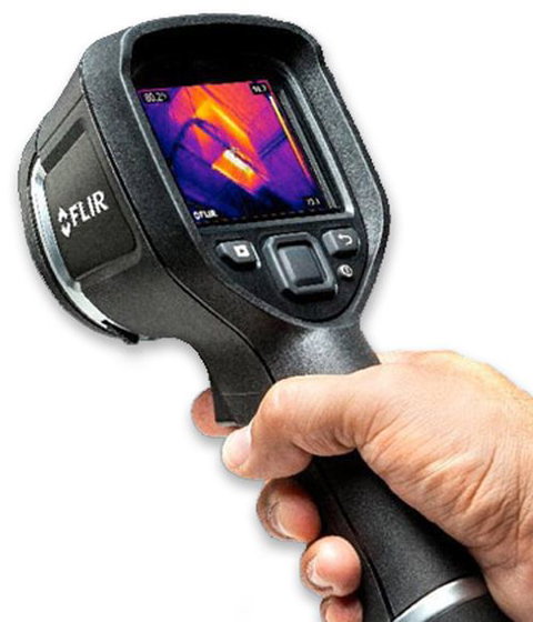 Active Pest Management - Swimm 4