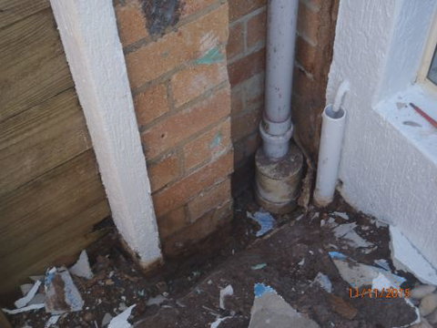 Active Pest Management - Swimm 16