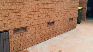 Active Pest Management - Swimm 19