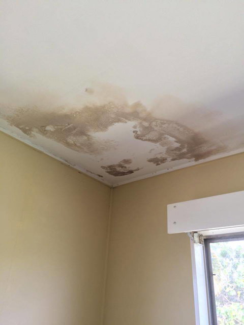 Blue Ribbon Specialised Services - Swimm 1