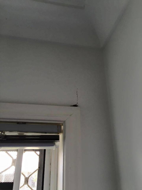 Blue Ribbon Specialised Services - Swimm 2