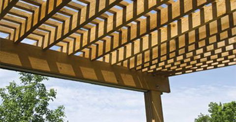 Kimbers Timbers Pty Ltd - Renee 1