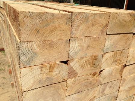 Platypus Timbers - Renee 3