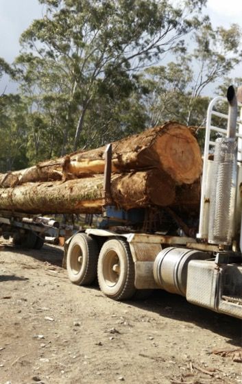Timber Supplies Eungella QLD Swimm