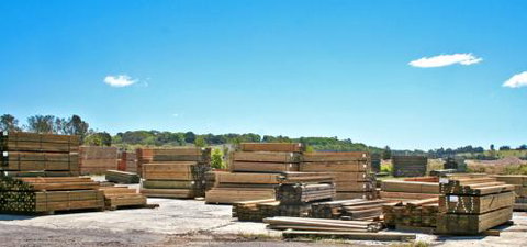 B & B Timbers Ballina - Renee 2