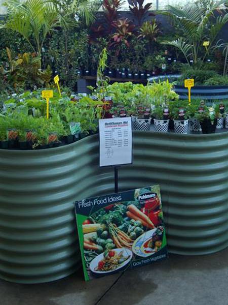 Maroochy Sand & Gravel - Swimm 2