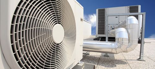 Noosaville QLD Renee