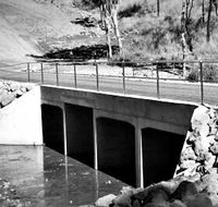 McMurtrie Consulting Engineers - Renee