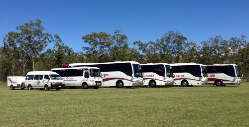 Coach Charters Bus Tours Renee