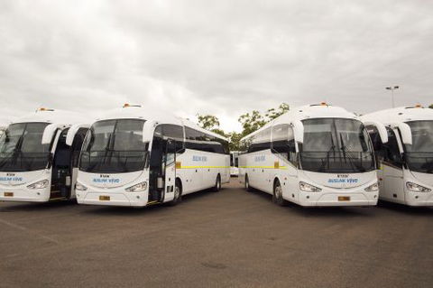 Buslink VIVO - Renee 0